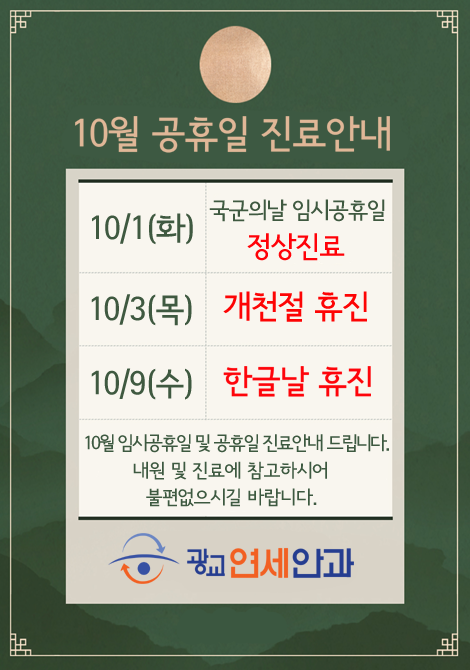 2024년 10월 공휴일 진료안내